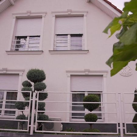 Vivo House Bed & Breakfast Târgu-Mureş Dış mekan fotoğraf