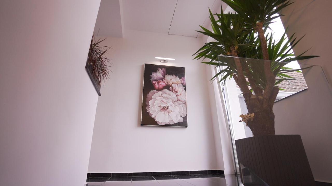 Vivo House Bed & Breakfast Târgu-Mureş Dış mekan fotoğraf